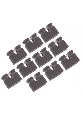 Zworka 2mm 10szt.