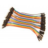 10CM Rainbow Cable 40P Male to Female